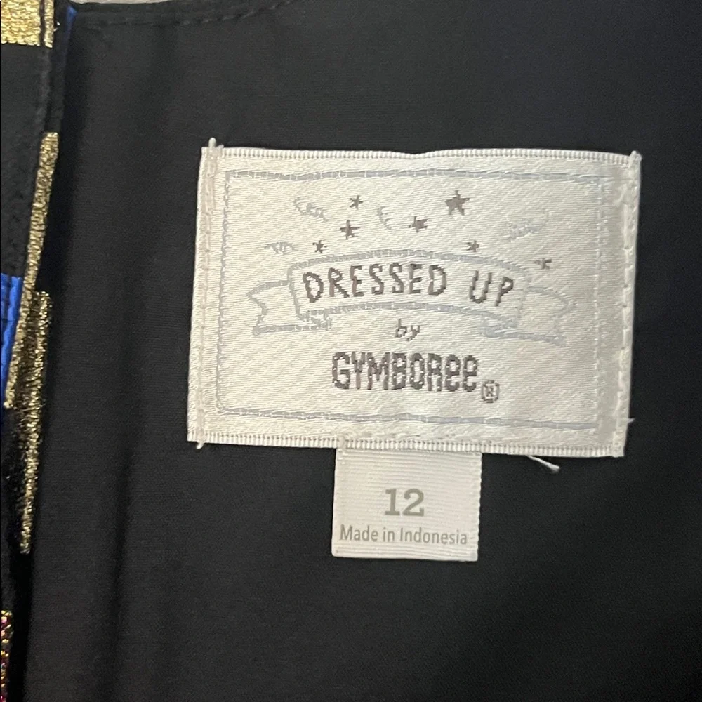 Gymboree Dressed Up Holiday Special Occasion Dress